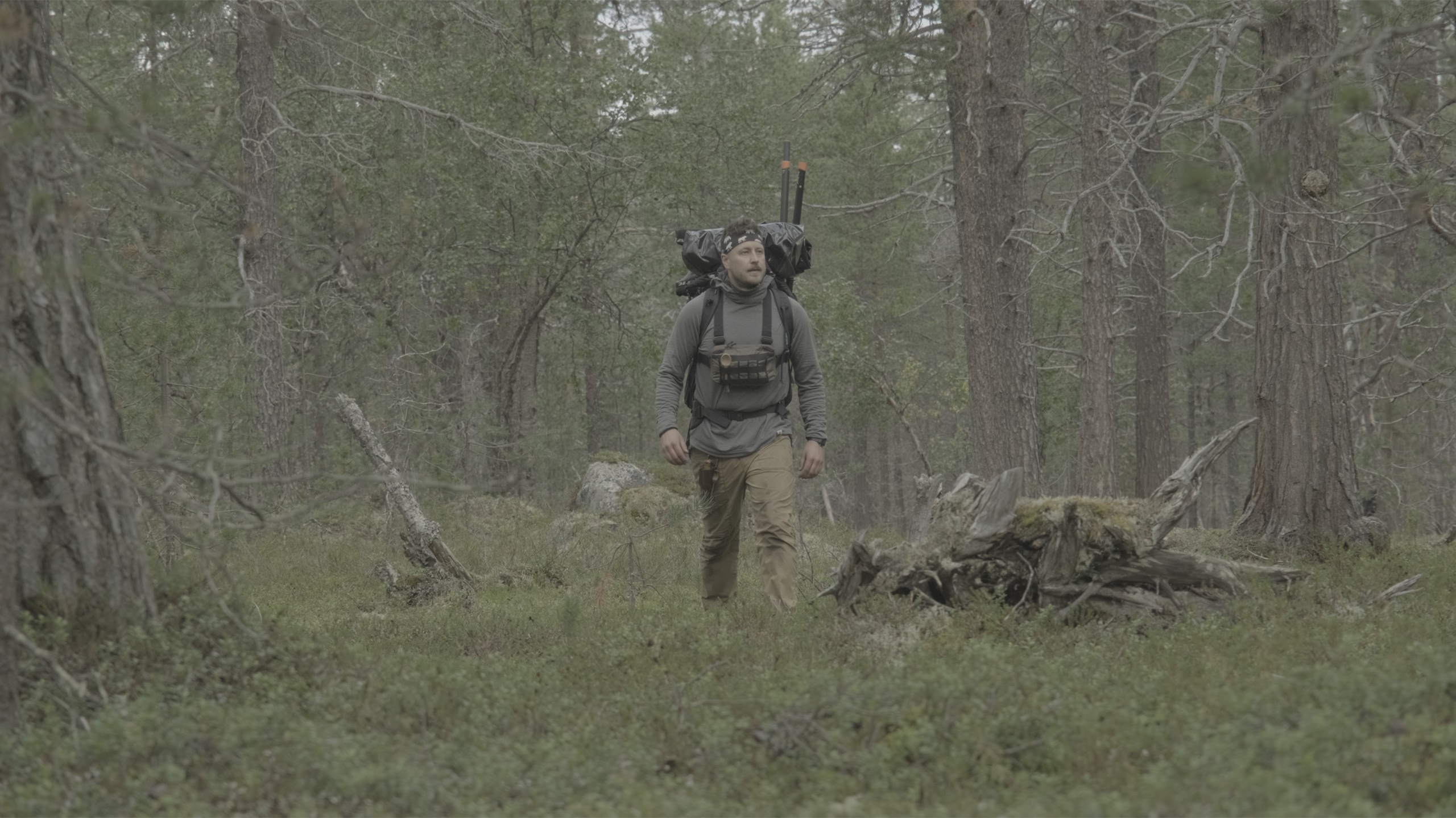Erämaan armoilla
