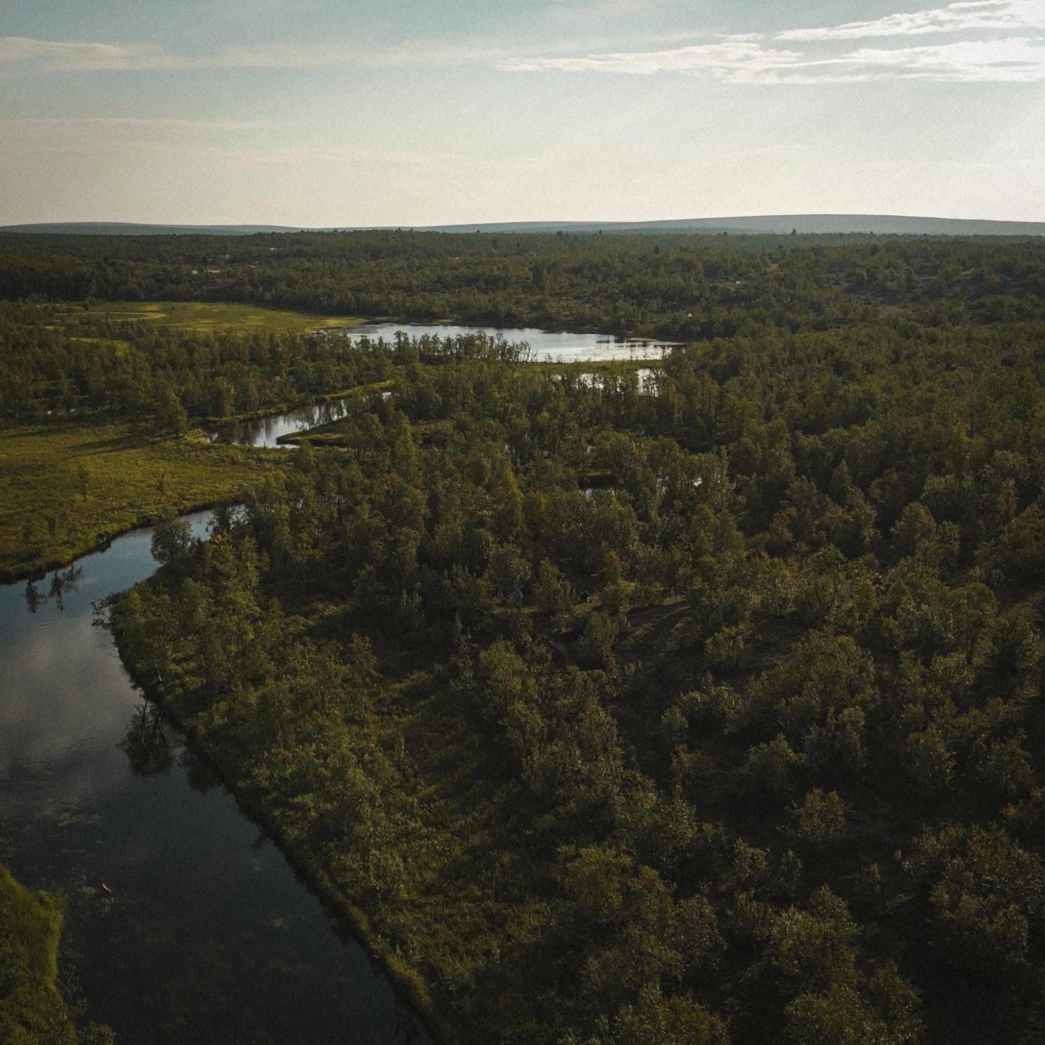 Pöyrisjärven erämaata