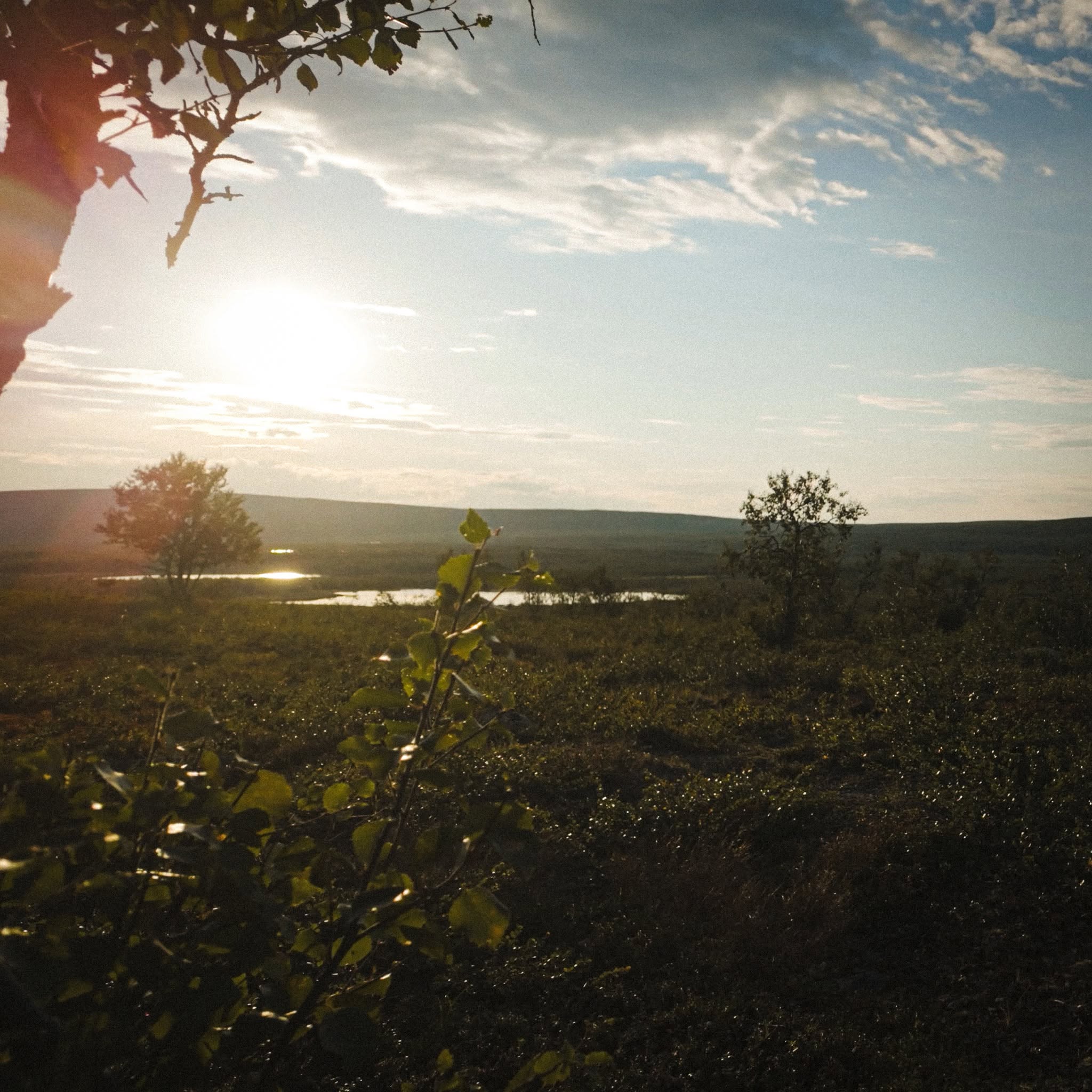 Ilta-aurinko tunturin yllä